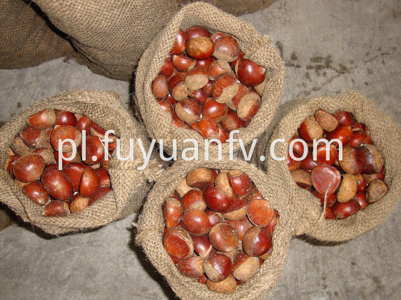 chestnut packed in jute bags